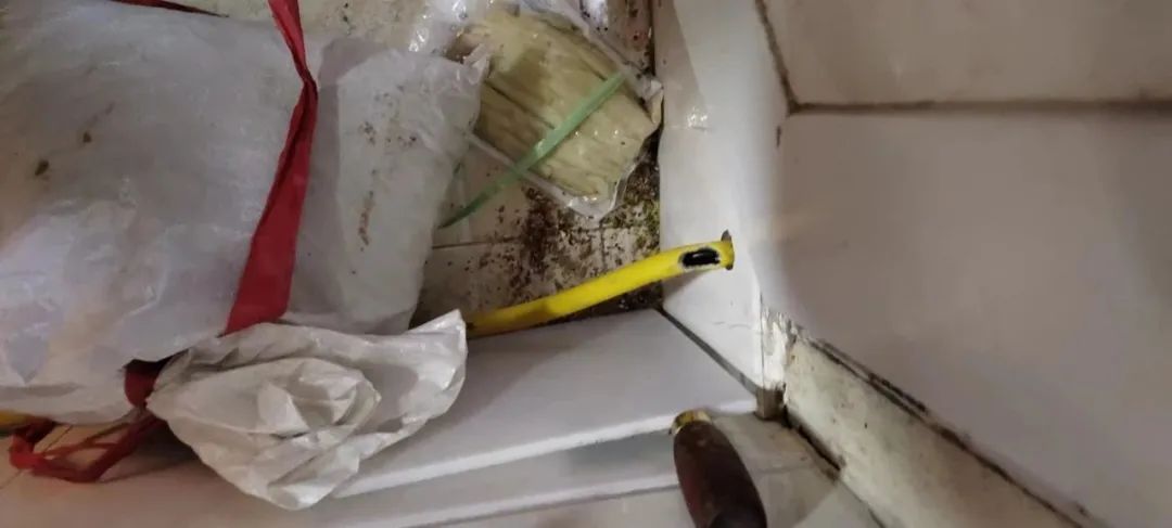 燃氣(qì)軟管被老鼠(shǔ)咬了個大窟(kū)窿，竟然……